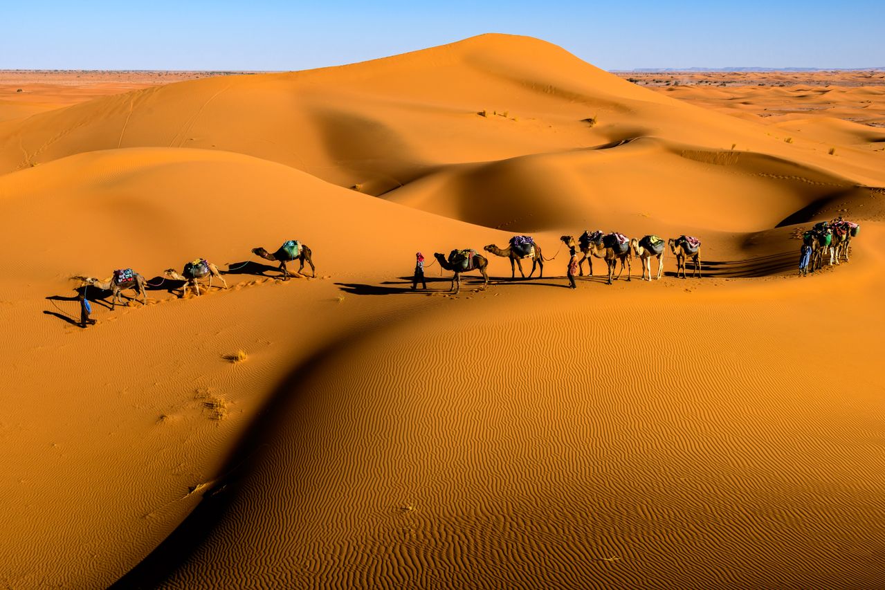 Sahara